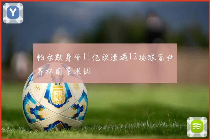 帕尔默身价11亿欧遭遇12场球荒世界杯前景堪忧