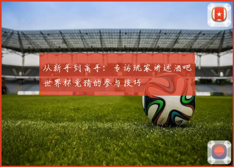 从新手到高手：专访玩家讲述酒吧世界杯竞猜的参与技巧