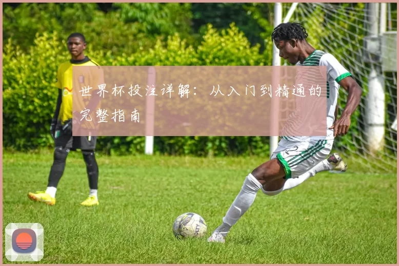 世界杯投注详解：从入门到精通的完整指南