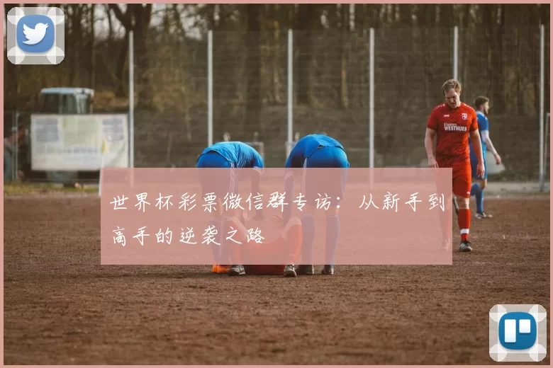 世界杯彩票微信群专访：从新手到高手的逆袭之路