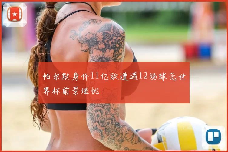 帕尔默身价11亿欧遭遇12场球荒世界杯前景堪忧