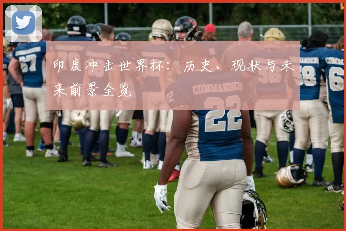 印度冲击世界杯：历史、现状与未来前景全览