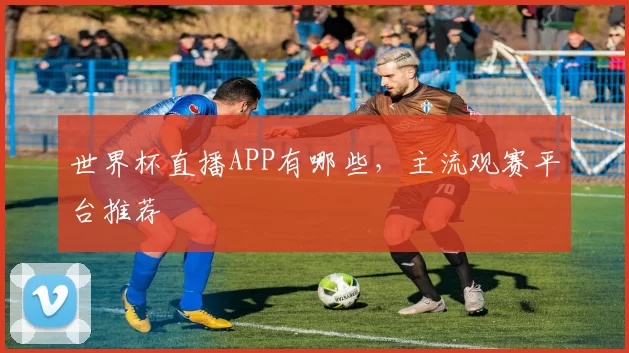 世界杯直播APP有哪些，主流观赛平台推荐
