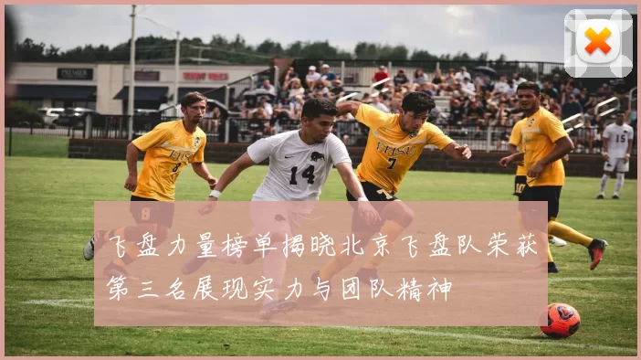 飞盘力量榜单揭晓北京飞盘队荣获第三名展现实力与团队精神