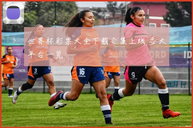 世界杯彩票大全下载合集上线 各大平台一览
