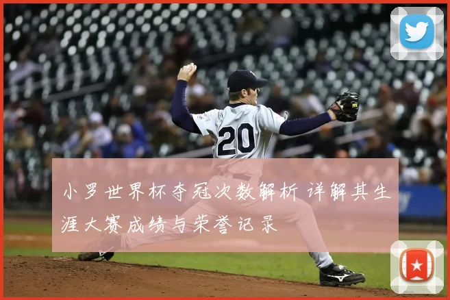 小罗世界杯夺冠次数解析 详解其生涯大赛成绩与荣誉记录