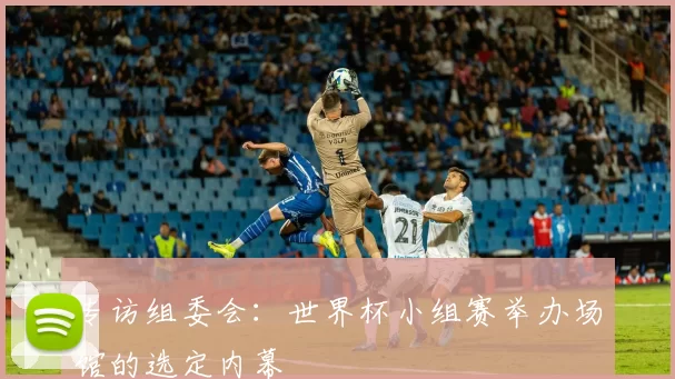 专访组委会：世界杯小组赛举办场馆的选定内幕